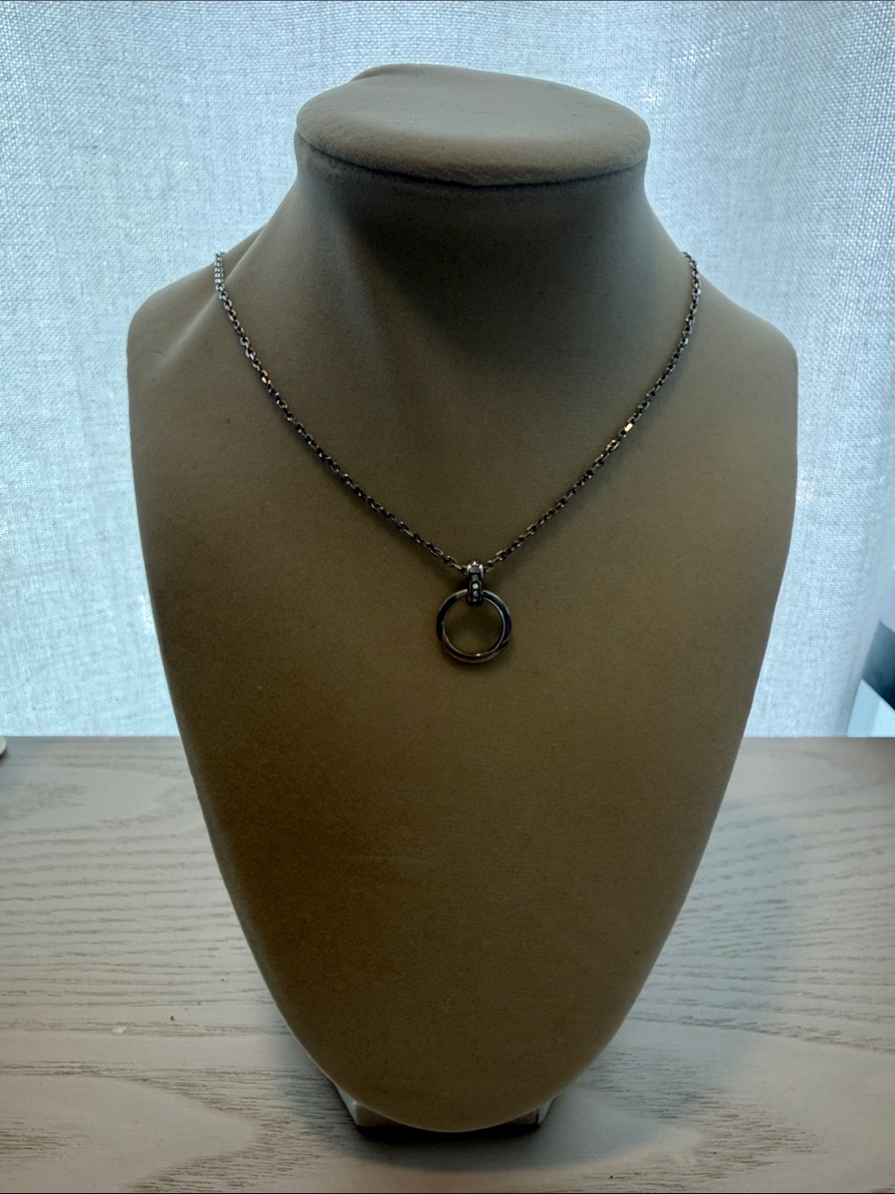Fossil Silver Ring Pendant Long Necklace - Women’s Jewelry